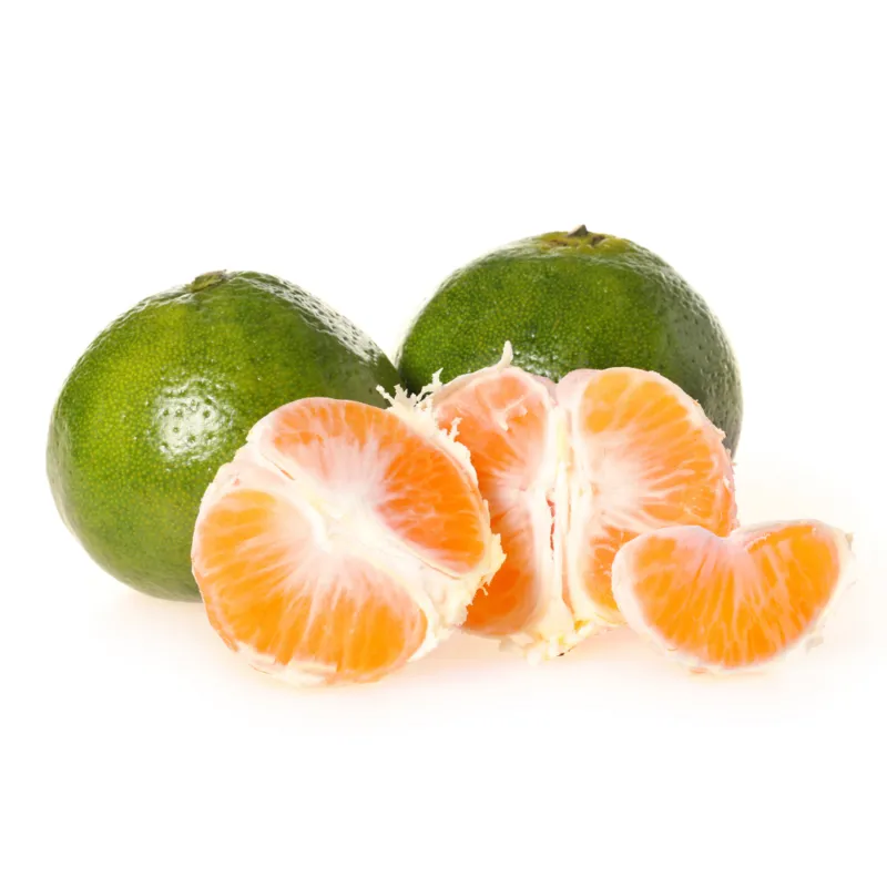 קלמנטינה סמסומה ירוקה - מחיר לק"ג